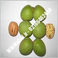 نهال گردو لارا | گردو لارا | گردوی لارا | نهالستان نمونه کرج 09120398416