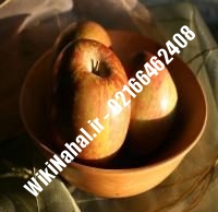 نهال سیب ردمریکال پایه رویشی | سیب ردمریکال پایه رویشی | نهالستان نمونه کرج ۶۶۴۶۲۴۰۸-۰۲۱