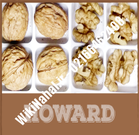 فروش نهال گردو هوارد پیوندی |فروش گردو هوارد | نهالستان نمونه کرج ۰۹۱۲۰۳۹۸۴۱۶